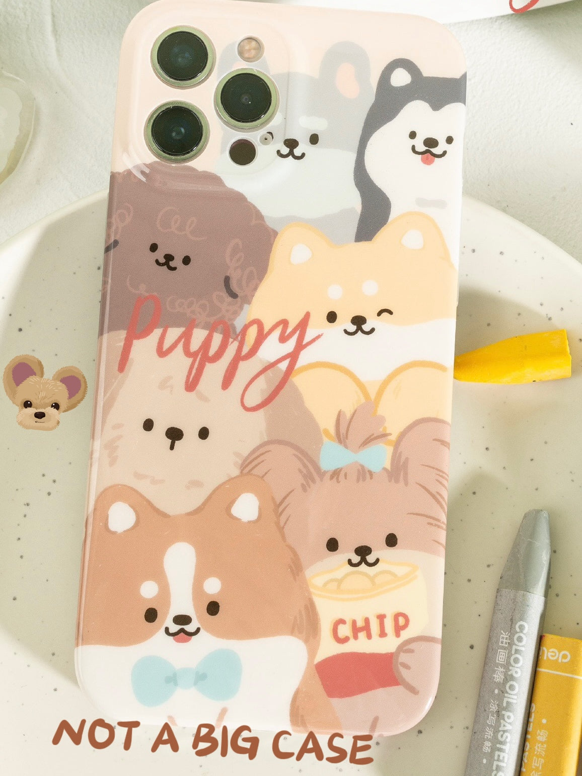 Vocal Concert iPhone Case