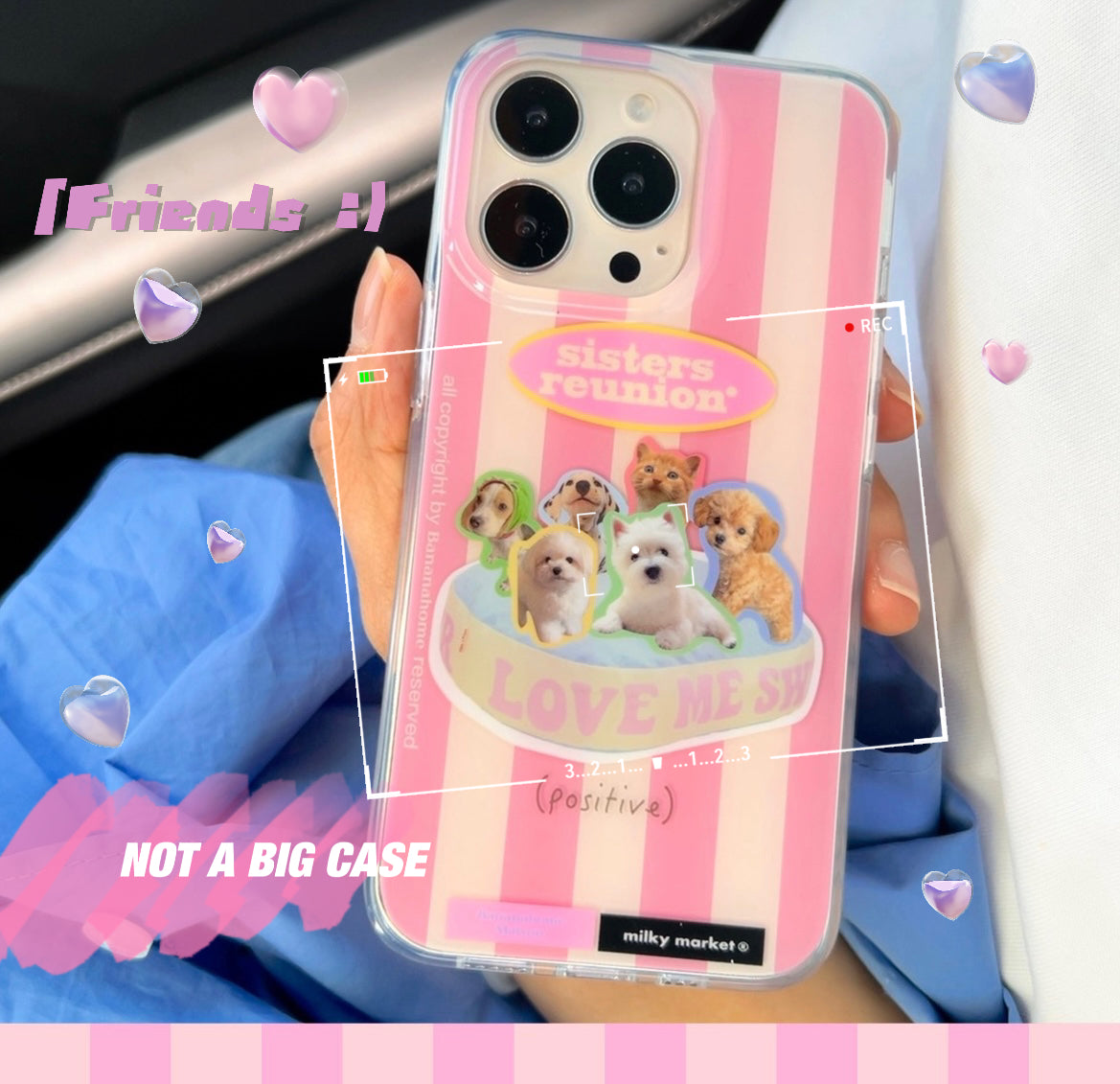 Sisters Reunion iPhone Case